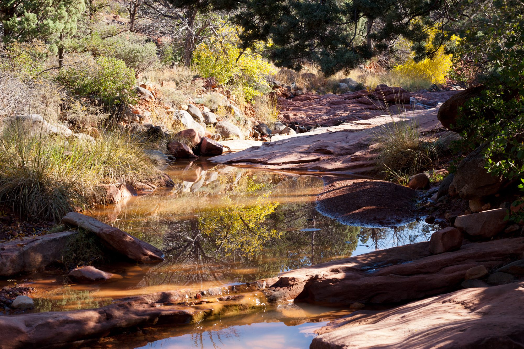 Munds Wagon Trail, Sedona