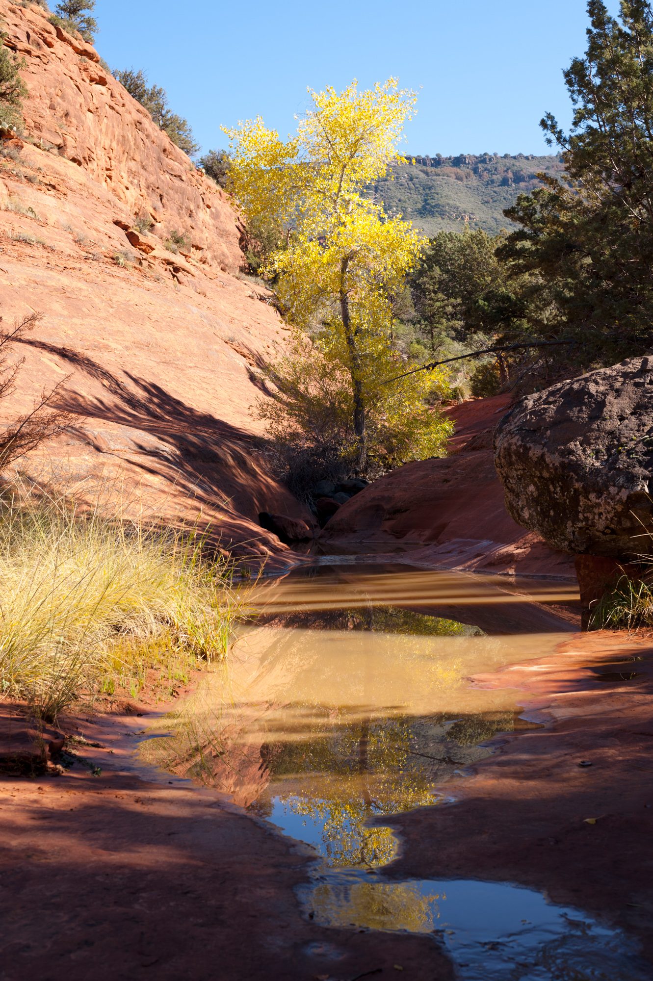 Munds Wagon Trail, Sedona