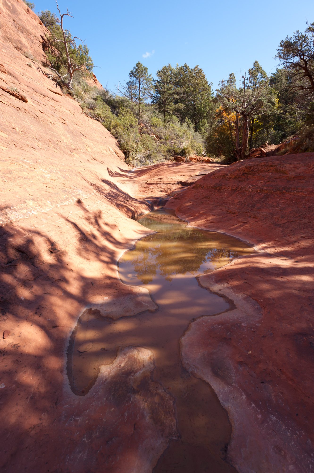 Munds Wagon Trail, Sedona