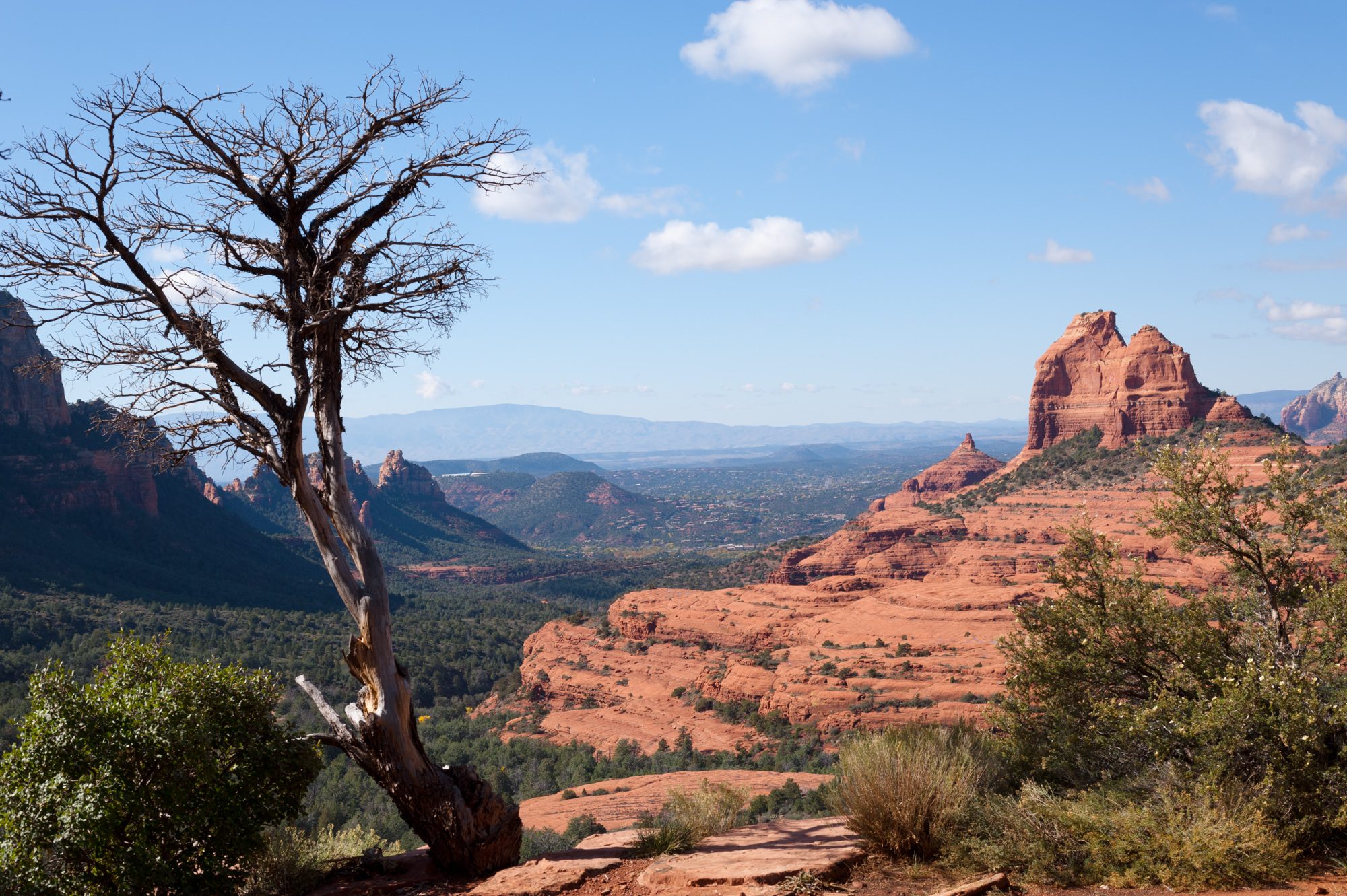 Munds Wagon Trail, Sedona