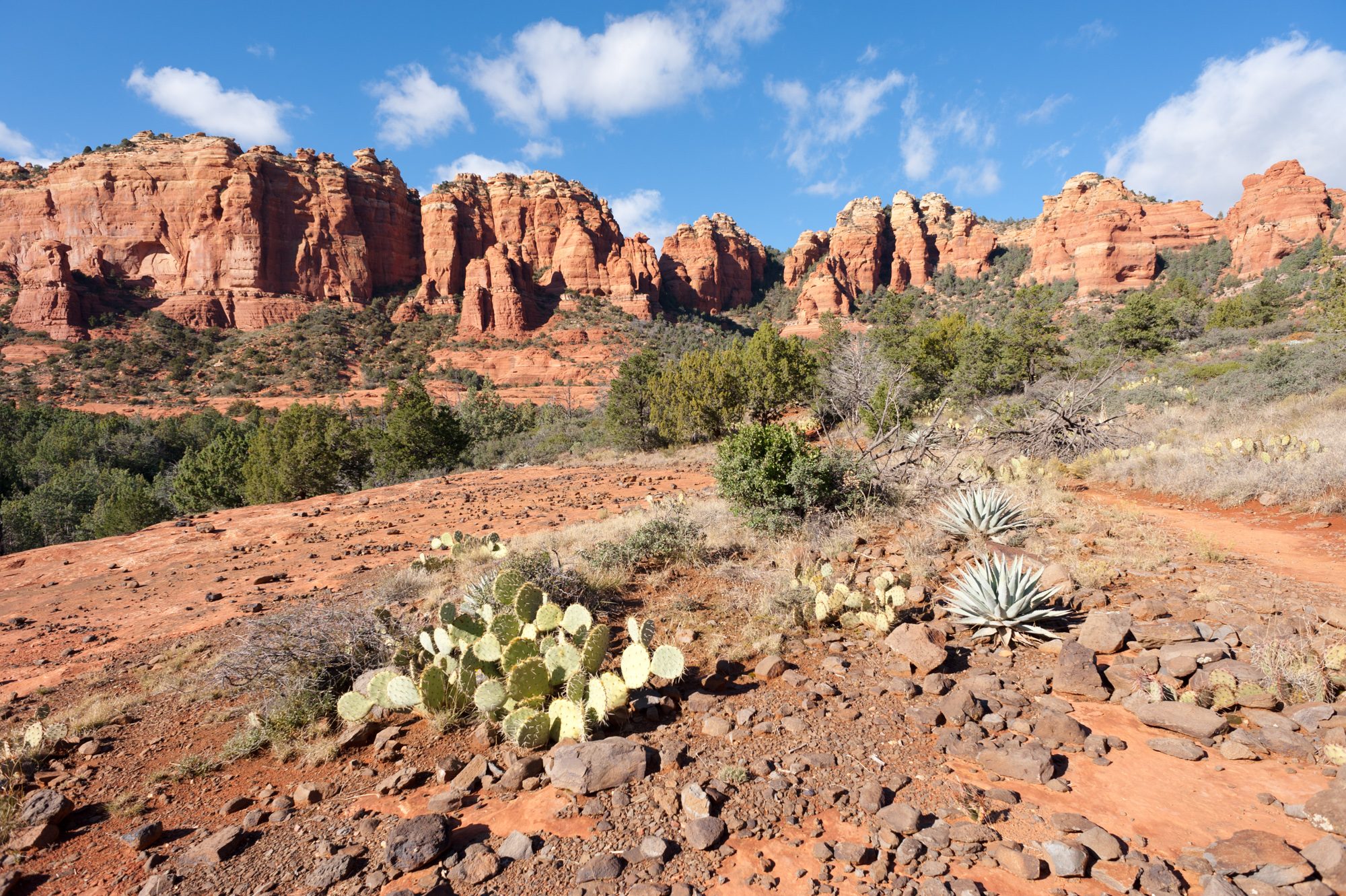 Munds Wagon Trail, Sedona