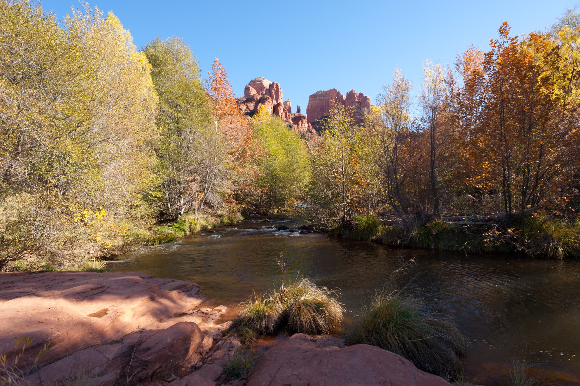 Cathedral Rock, Sedona