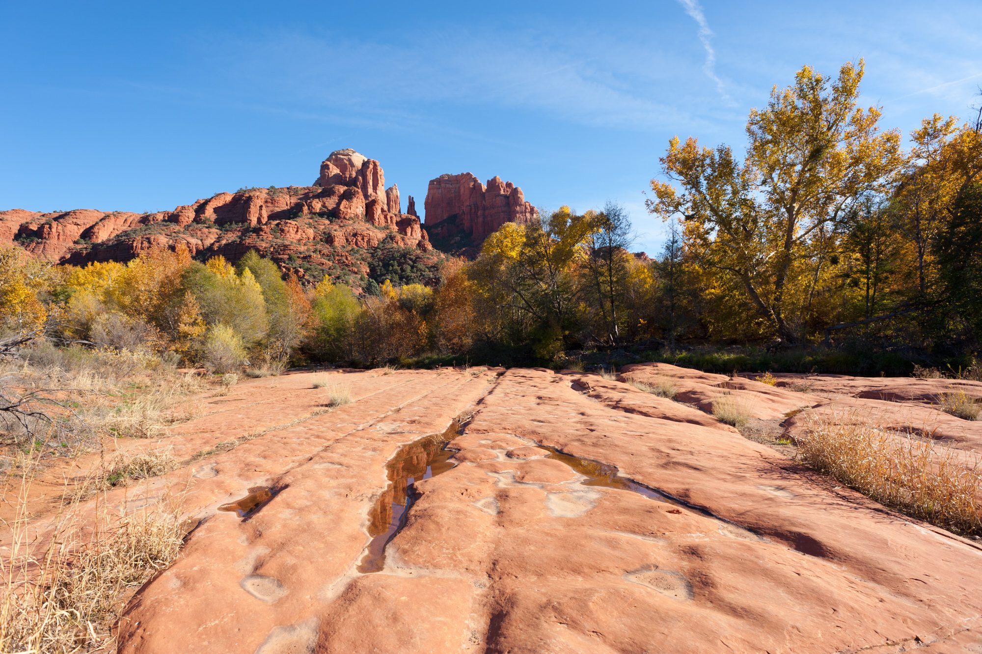 Cathedral Rock, Sedona