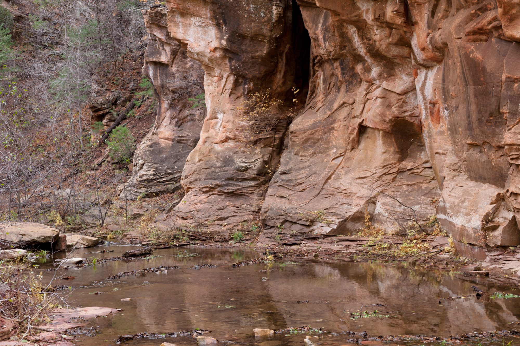 West Fork, Oak Creek Canyon