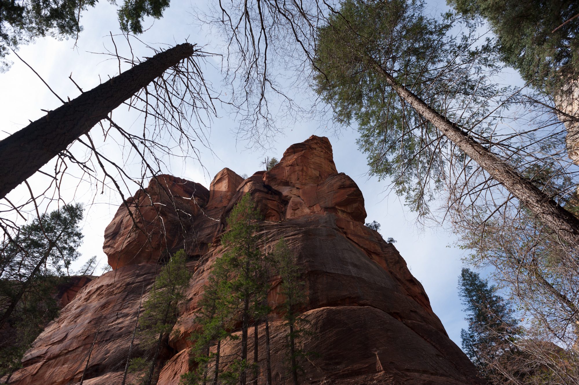 West Fork, Oak Creek Canyon