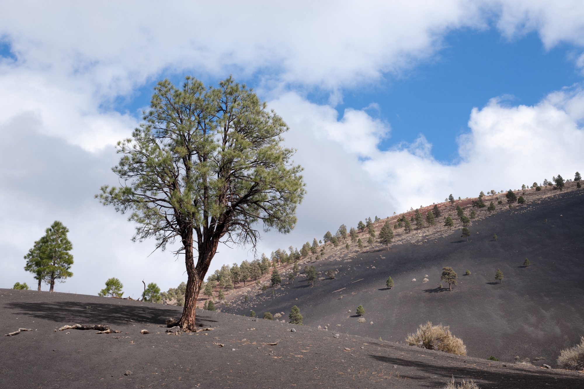 Sunset Crater