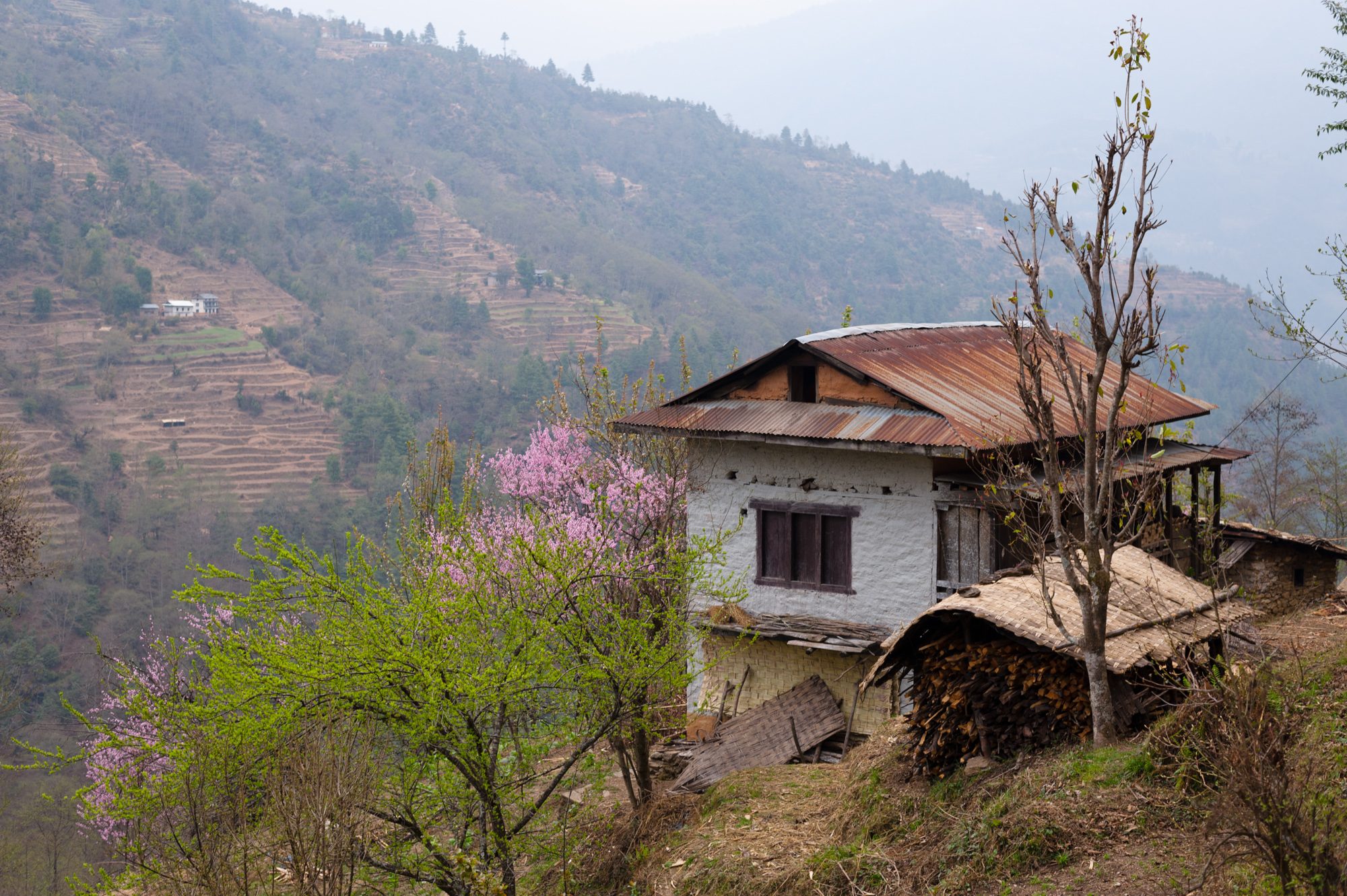 Above Shivalaya