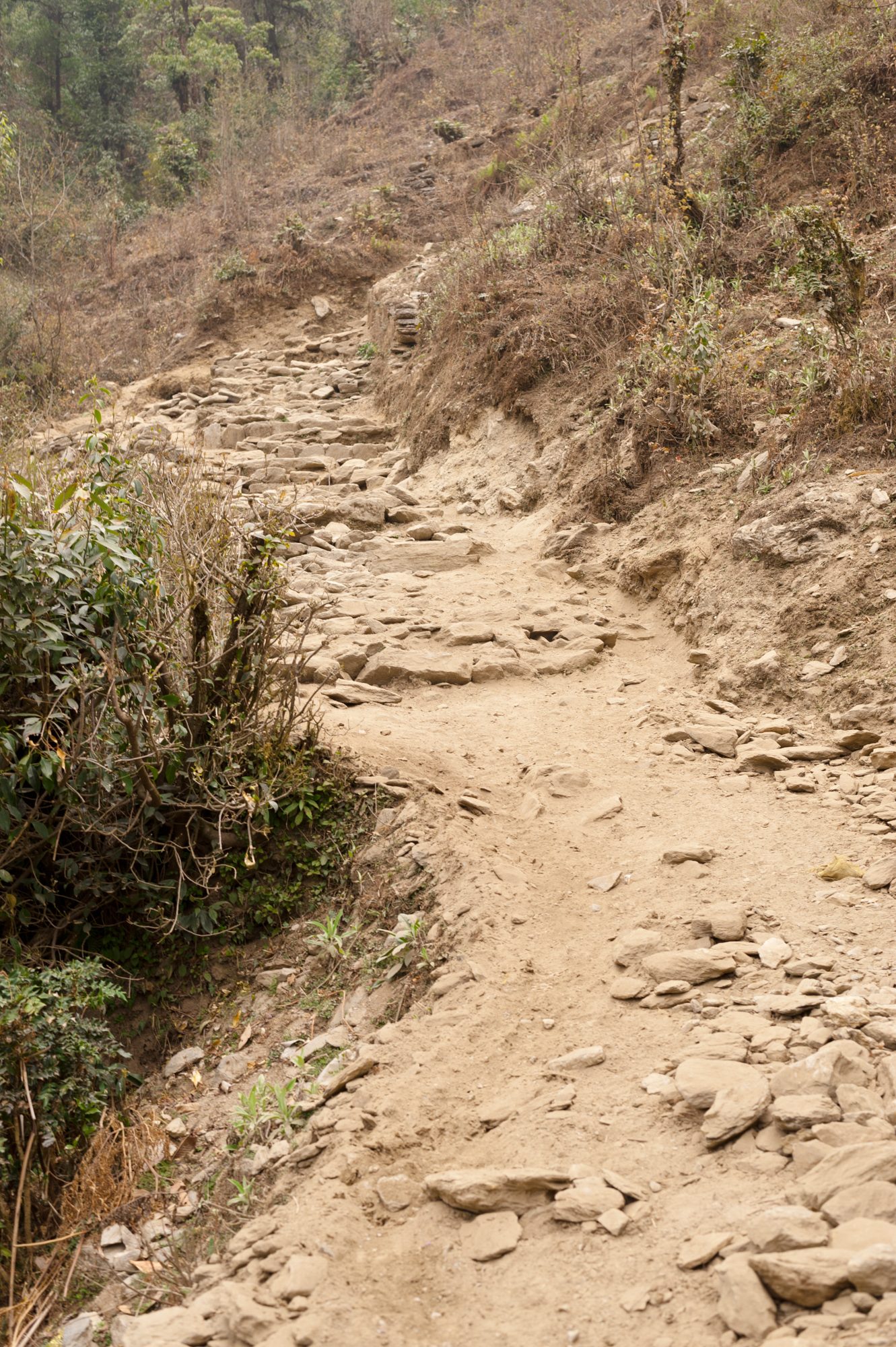 Dust and rubble: the trail above Nuntala