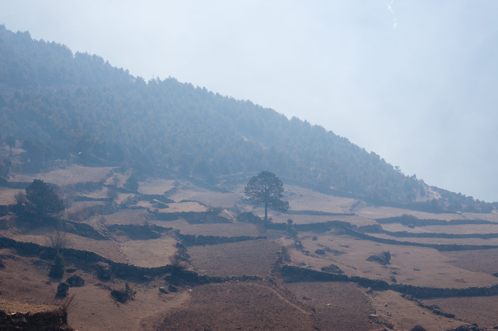 Fields, above Namche