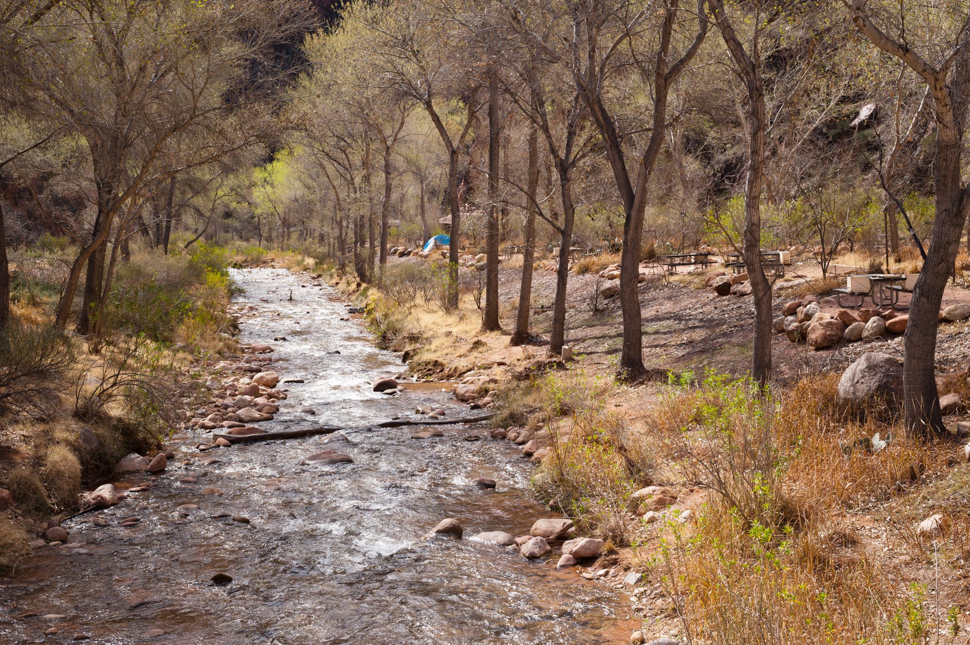 Bright Angel campground