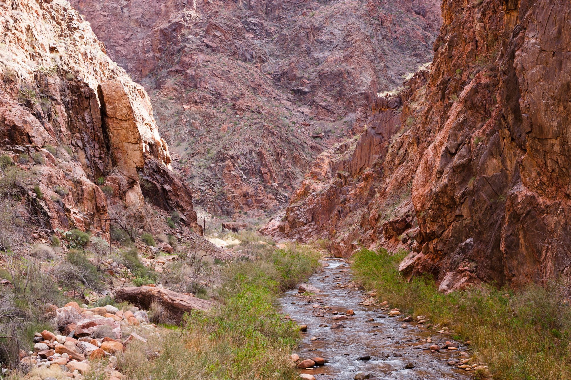 Bright Angel Canyon