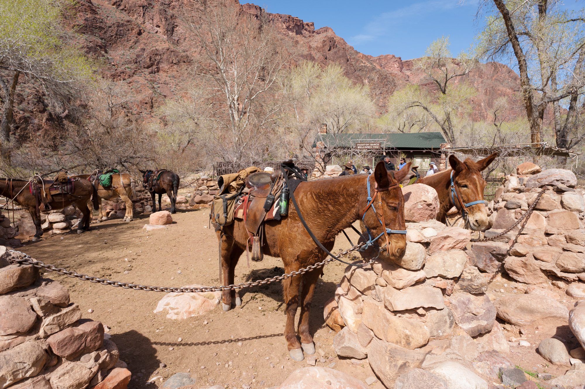 Phantom Ranch