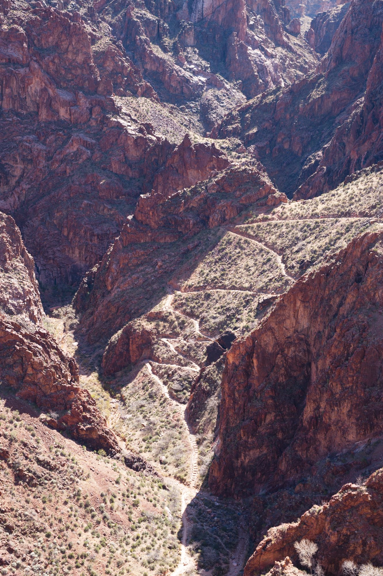 Bright Angel trail