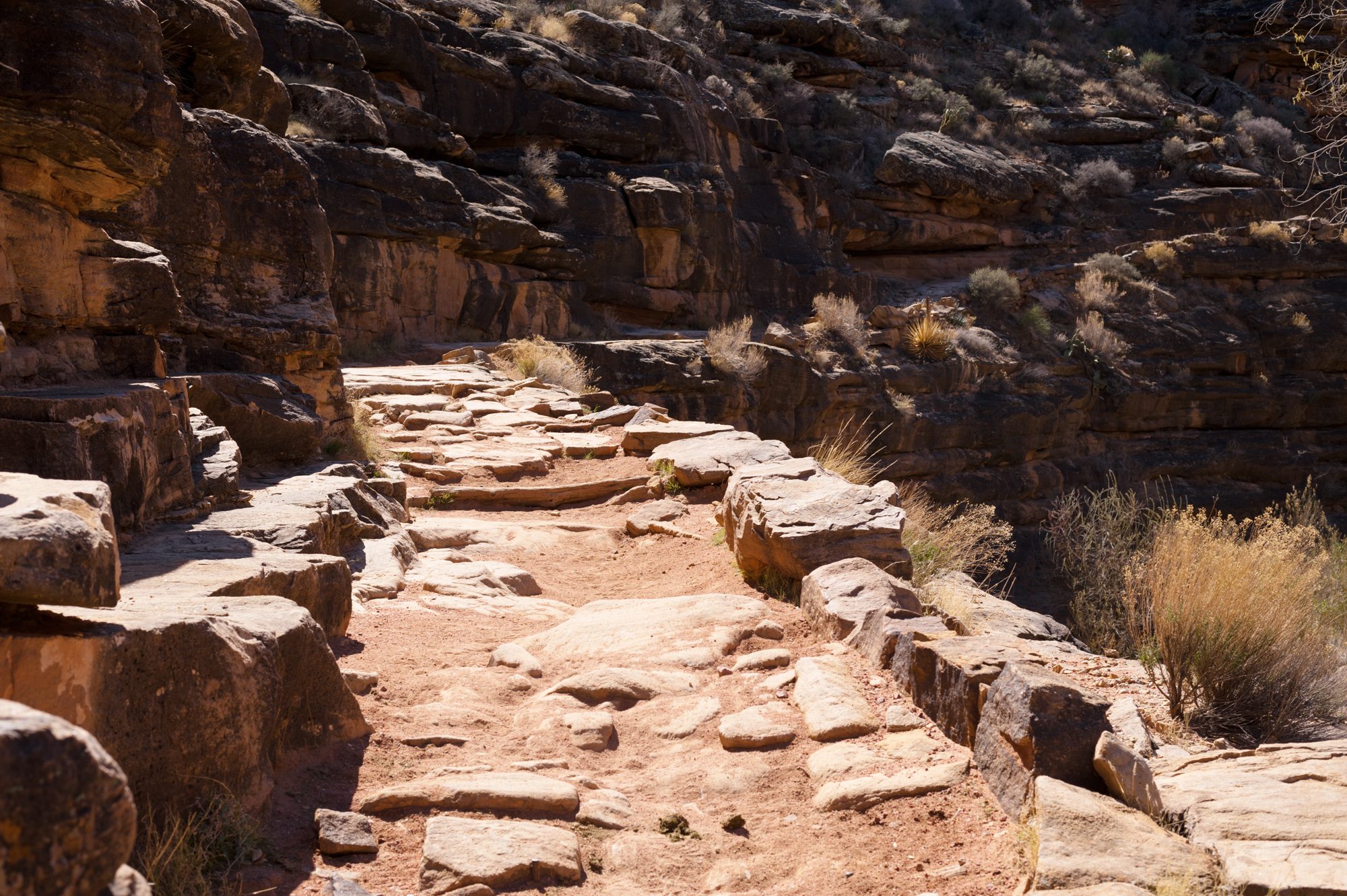 Bright Angel trail