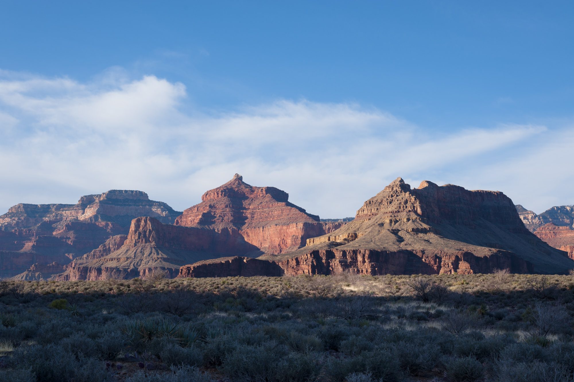 View from Plateau Point trail