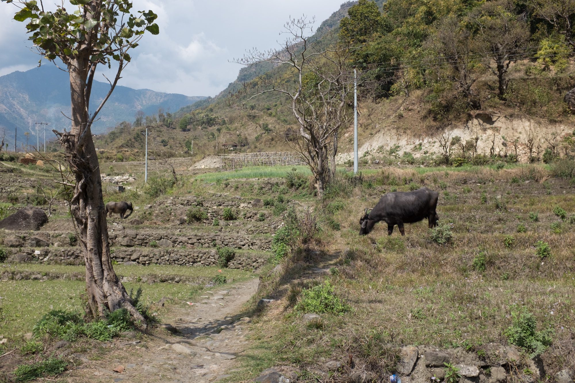 Between Besisahar and Bhulbhule