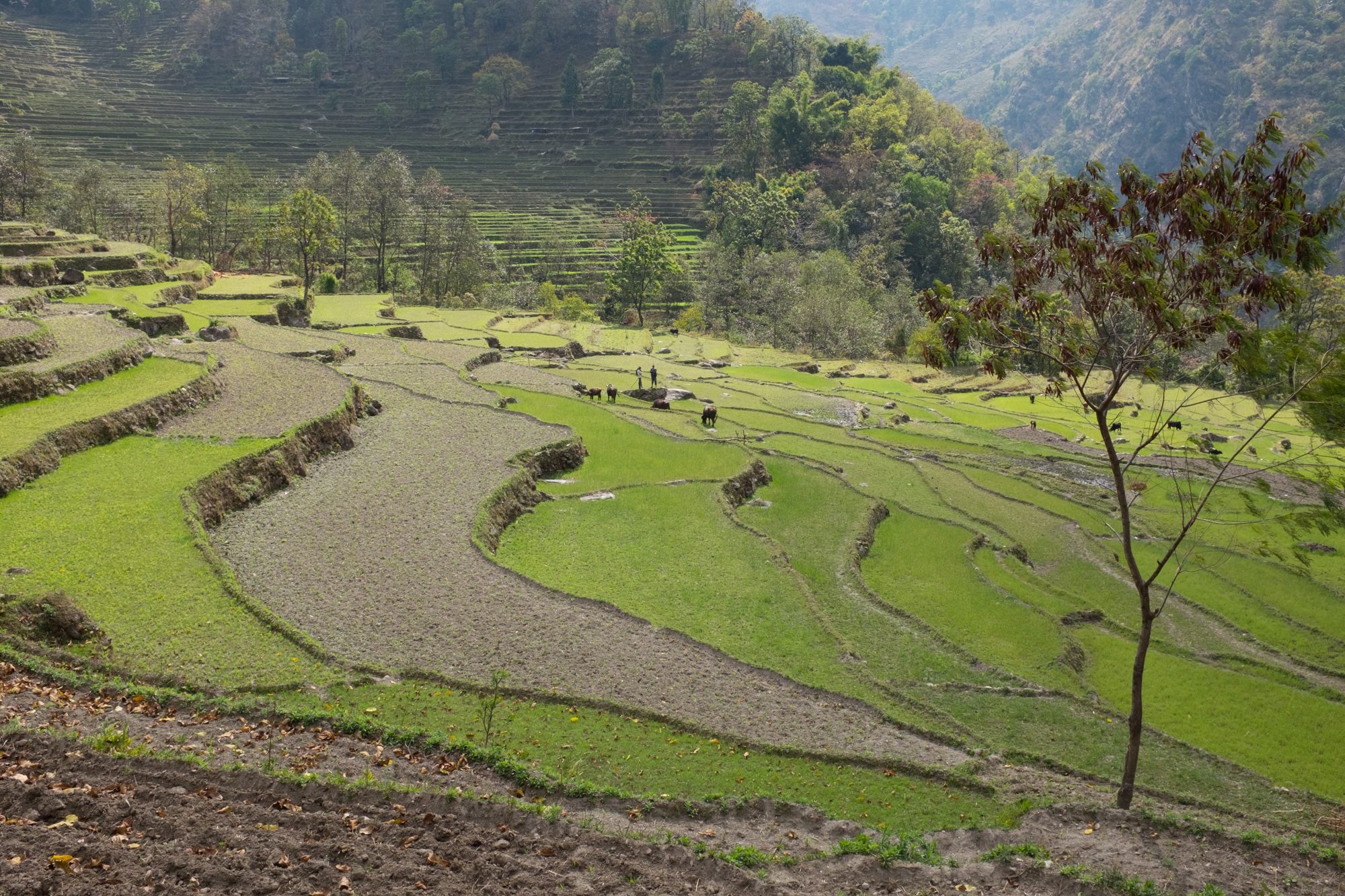 Between Bahundanda and Ghermu