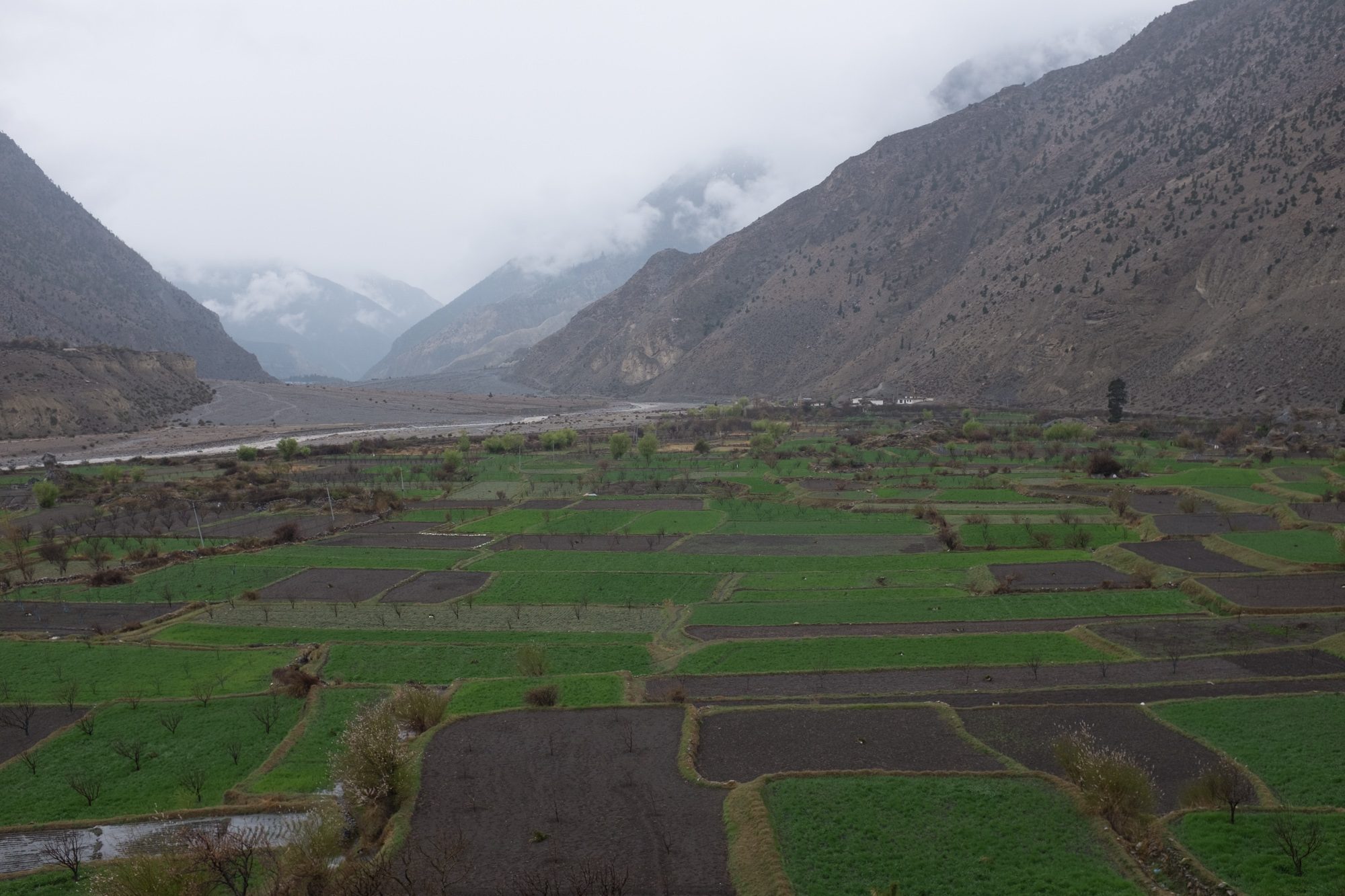 Between Jomsom and Marpha