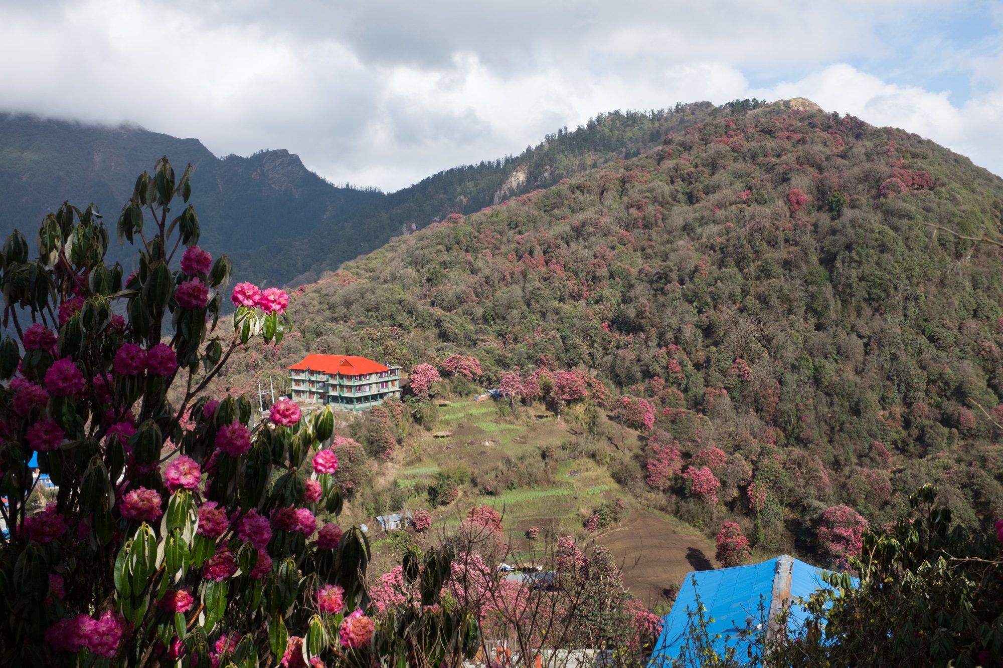 Ghorepani